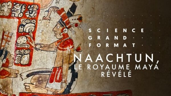 naachtun-le-royaume-maya-revele.jpg